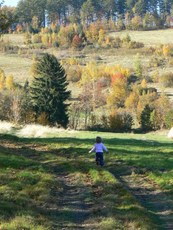 Art Pension Przecznica Exteriér fotografie